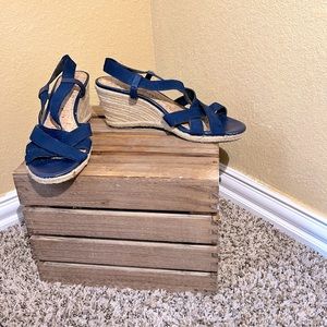 Size 9 Blue Sandal Wedges